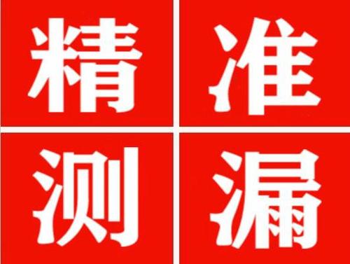 青神尚嘉漏水精准查找