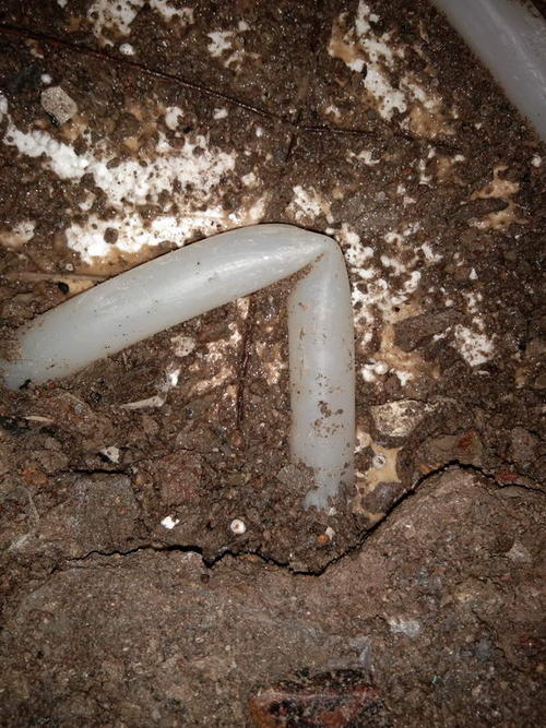 青神堵点精准查找